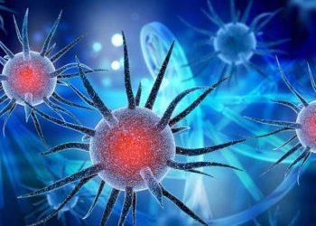 করোনা রোগীকে স্পর্শ করলেই করোনা হয় না