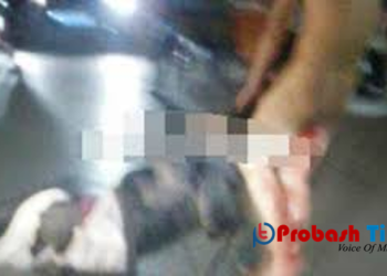 ধর্ষণ করতে এসে পুরুষাঙ্গ হারালেন পাঁচ সন্তানের বাবা -Probash Time