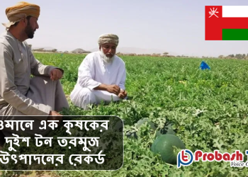 ওমানে এক কৃষকের দুইশ টন তরমুজ উৎপাদনের রেকর্ড