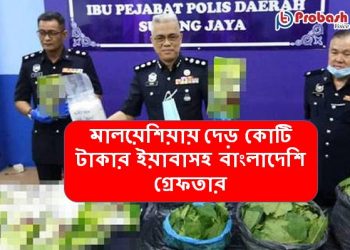 মালয়েশিয়ায় দেড় কোটি টাকার ইয়াবাসহ বাংলাদেশি গ্ৰেফতার