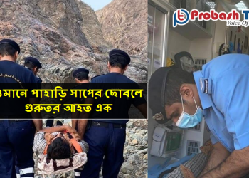 ওমানে বিষাক্ত সাপের ছোবলে আহত এক