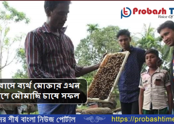 প্রবাসে ব্যর্থ মোক্তার এখন দেশে মৌমাছি চাষে সফল