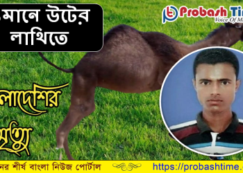 ওমানে উটের লাথিতে বাংলাদেশি প্রবাসীর মৃত্যু