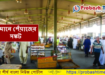 ওমানে পেঁয়াজের সঙ্কট, ঘাটতি নিরসনে কাজ করছে মন্ত্রণালয়
