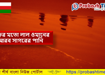 ওমানের আরব সাগরের পানি হঠাত রক্তের মতো লাল