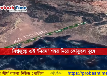 রাস্তাবিহীন সৌদির নতুন শহর নিয়ে বিশ্বজুড়ে কৌতূহল