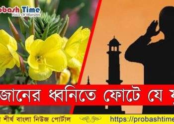 পাঁচ ওয়াক্ত আজানের ধ্বনিতে ফোটে যে ফুল