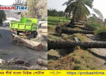 ওমানে ভারী বৃষ্টিপাতে ব্যাপক ক্ষয়ক্ষতি, আহত ১৩