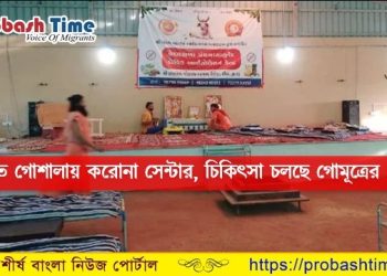 ভারতে গোমূত্রের ওষুধে চলছে করোনা চিকিৎসা