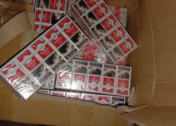 Whatsapp image 2021 05 12 at 12.57.04 am (1)