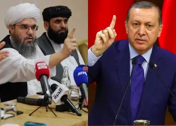 Erdogan taliban