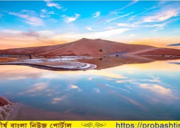 সাইক্লোন শাহীনে ওমানের মৃত সাফা হ্রদে ফিরে পেল প্রাণ 