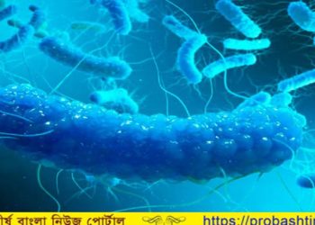 করোনার পর যুক্তরাষ্ট্রে নতুন আতঙ্কের নাম সালমোনেলা 