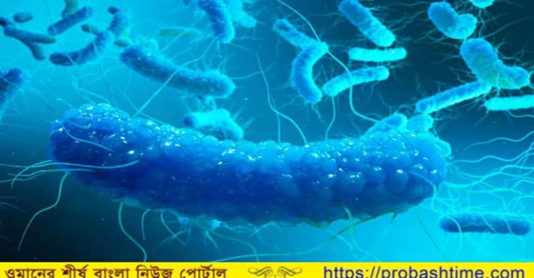 করোনার পর যুক্তরাষ্ট্রে নতুন আতঙ্কের নাম সালমোনেলা 