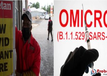 ওমিক্রন নিয়ে দেশের সব প্রবেশপথে সতর্কবার্তাওমিক্রন নিয়ে দেশের সব প্রবেশপথে সতর্কবার্তা