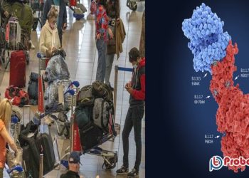 আরও ৪ দেশে শনাক্ত করোনার নতুন ধরন ওমিক্রন, বিশ্বজুড়ে সতর্কতা