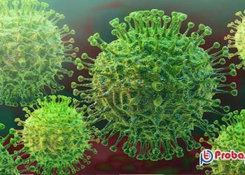 ফের করোনার বিধিনিষেধ আরোপ করলো ওমান