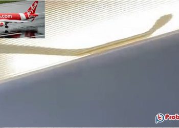 বিমানে ঘুরে বেড়াচ্ছে সাপ