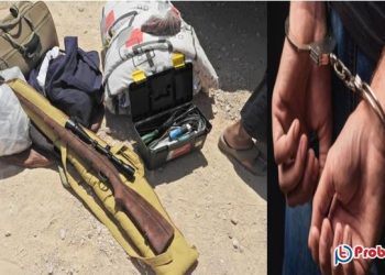 ওমানে পাখি শিকারের অভিযোগে নাগরিক গ্রেপ্তার