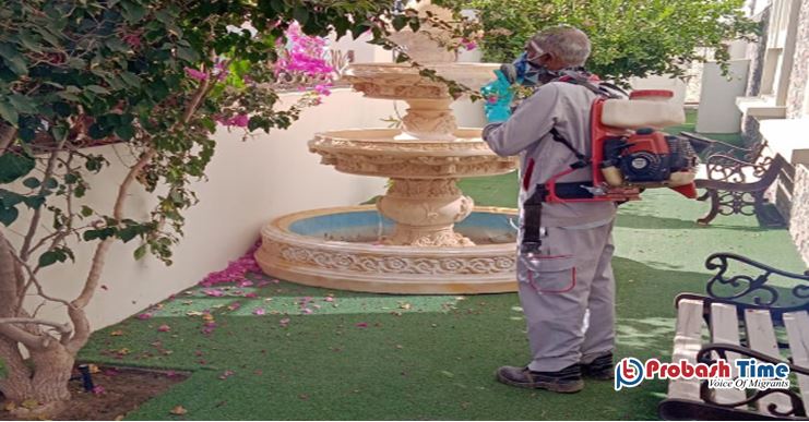 মশার উপদ্রব কমাতে ওমানে নতুন নির্দেশিকা জারি