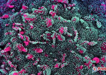 ভারতে করোনার নতুন ধরন শনাক্ত