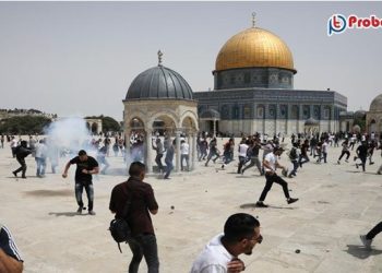 পবিত্র আল-আকসায় নামাজরত ফিলিস্তিনিদের ওপর হামলা