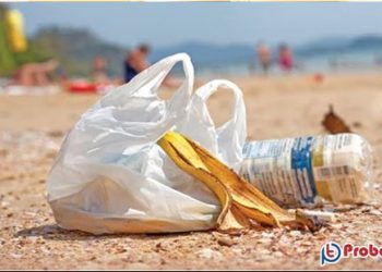 ওমানে বেশকিছু নতুন আইন জারী, অমান্য করলেই মোটা অংকের জরিমানা 