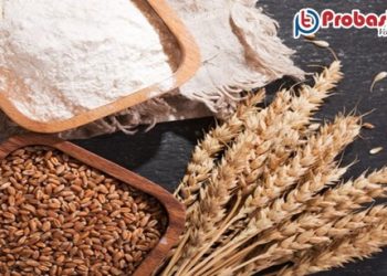 ভারতীয় গম রপ্তানিতে আমিরাতের নিষেধাজ্ঞা