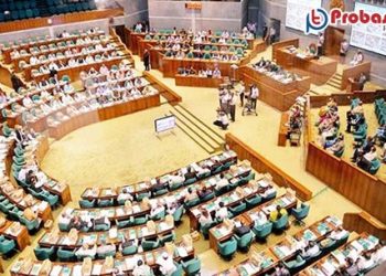 বাংলাদেশের ইতিহাসে সর্বোচ্চ বাজেট এ বছর, সরকারের কাছে একটু আলাদা প্রত্যাশা প্রবাসীদের