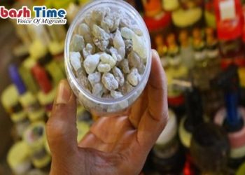 স্বর্ণের চেয়েও দামি ওমানের লোবান