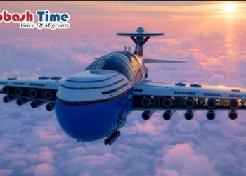 বিমানের মধ্যে বিলাসবহুল সুইমিং পুল