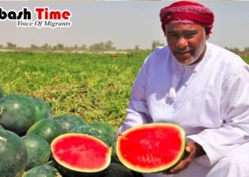 বৈশ্বিক খাদ্য নিরাপত্তা তালিকায় আরব দেশের শীর্ষে ওমান