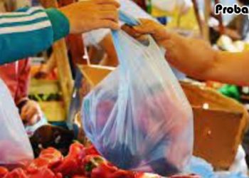 ওমানে প্ল্যাস্টিক ব্যাগ আমদানি করলে এক হাজার রিয়াল জরিমানা