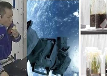 দুনিয়ার বাইরের এই দুনিয়ায় থাকা যাবে?