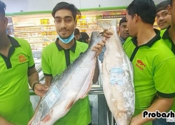 আমিরাতের বাজারে বাংলাদেশি মাছের রাজত্ব