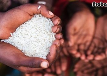 বিশ্বে ক্ষুধার কারণে প্রতি চার সেকেন্ডে মারা যাচ্ছেন একজন