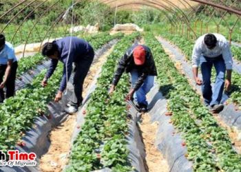 স্বল্প খরচে দক্ষিণ কোরিয়া যাওয়ার সুযোগ, বেতন ১ লক্ষ ২০ হাজার