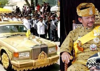 যেদেশে সুলতানই সব