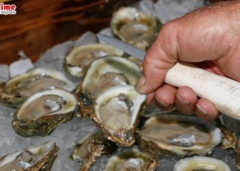 ঝিনুক সংগ্রহ ও বেচাকেনা নিষিদ্ধ ঘোষণা করলো ওমান