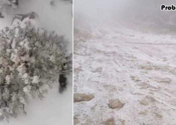 যেই দেশে শৈত্যপ্রবাহ বিরল, সেই ওমানেই বিরল তুষারপাত