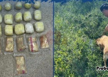 ওমানে মাদকদ্রব্য চোরাচালানের অভিযোগে দুই প্রবাসীকে গ্রেফতার