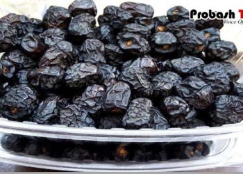 পৃথিবীজুড়ে কেন এতটা বিখ্যাত আজওয়া খেজুর