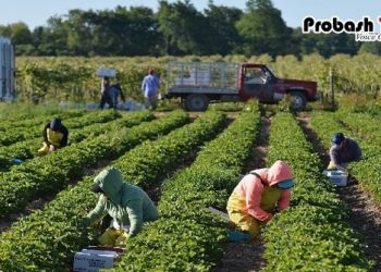 জরুরি নির্দেশনা