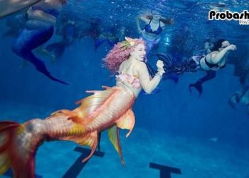 ভার্জিনিয়ায় দেখা মিলল মৎস্যকন্যাদের