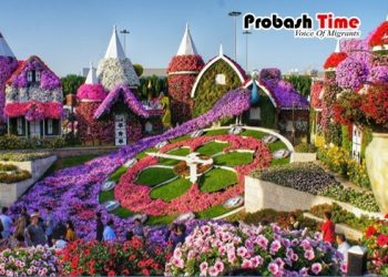 দুবাইয়ের মিরাকল গার্ডেনের নৈসর্গিক সৌন্দর্য