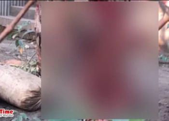 দেবিদ্বারে প্রবাসী ও গৃহবধূকে গাছে বেঁধে নির্যাতন