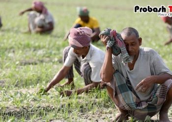 দেশের সর্বোচ্চ তাপমাত্রা পাবনার ঈশ্বরদীতে, জনজীবন বিপর্যস্ত