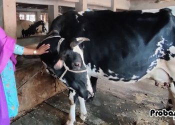 প্রবাস থেকে ফিরে গড়েছেন খামার,মাসে ২ লাখ টাকা আয় করে বদলেছেন ভাগ্য