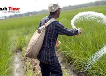 সৌদি থেকে সার কিনছে সরকার