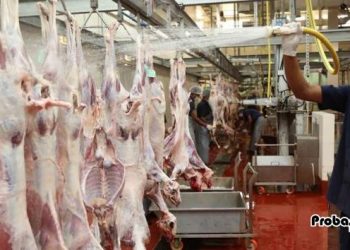 ওমানে ঈদে কসাইখানারা সময়সূচী প্রকাশ, আজ থেকে নতুন কর্মসূচী কার্যকর